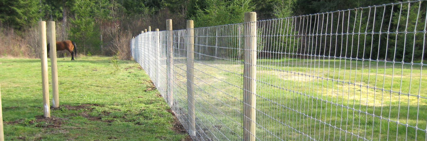 Asset Management and Testing Ballarat